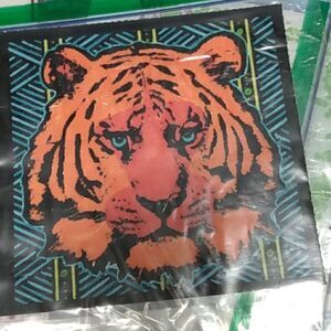 Coloring of a tiger 